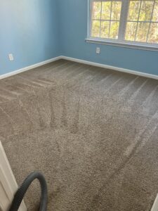 Professional Carpet Cleaning in Raleigh, Cary, Garner, Holly Springs, Apex, North Carolina